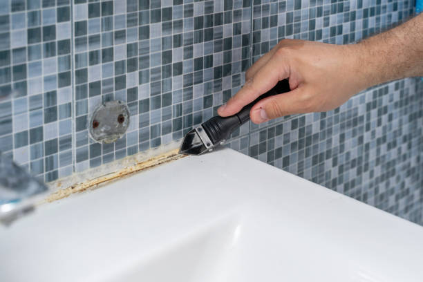 Best Professional Mold Removal  in Walnut Grove, GA