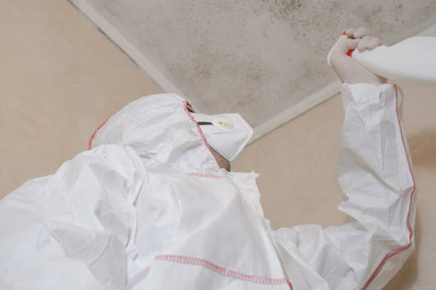Best Certified Mold Removal  in Walnut Grove, GA
