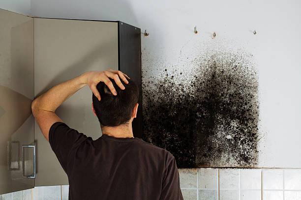 Best Black Mold Removal  in Walnut Grove, GA